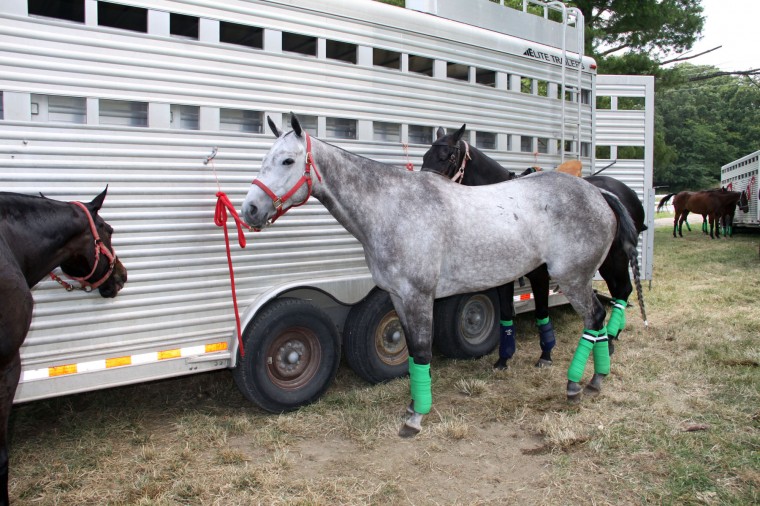 Epworth's 17th Annual Charity Polo Match